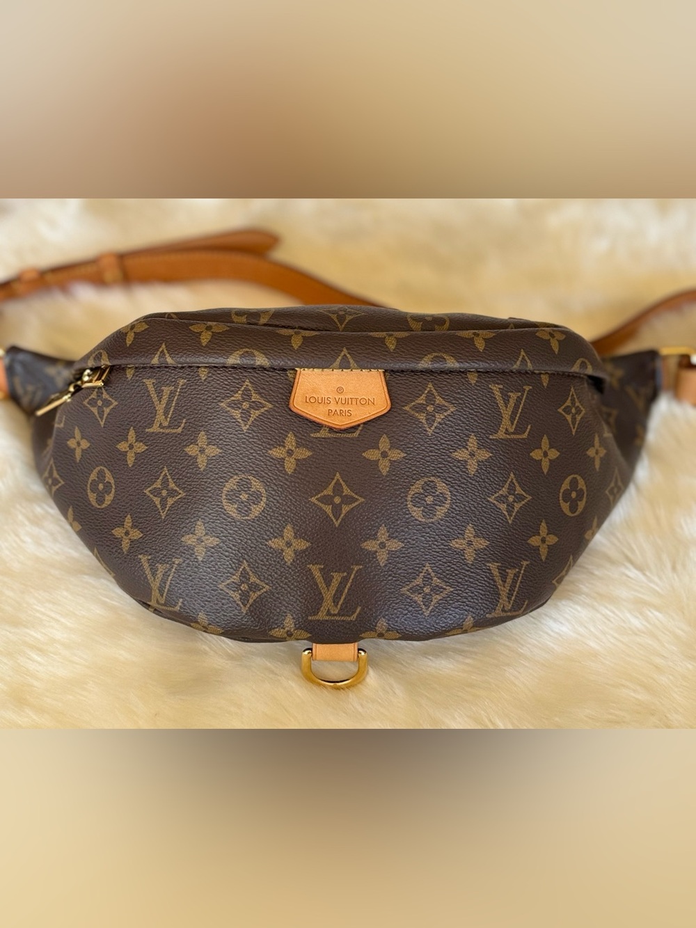 Louis Vuitton Bumbag Monogram